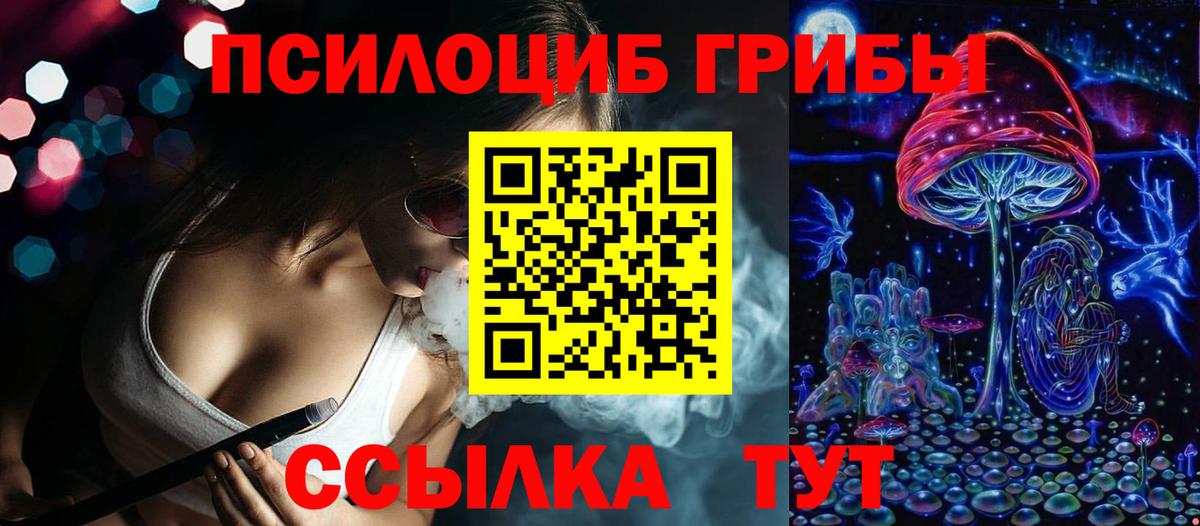 Галлюциногенные грибы Psilocybe Когалым